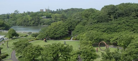 大池公園の風景